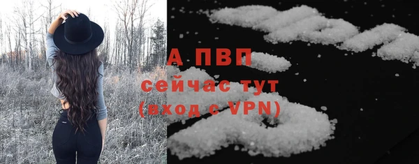 ПСИЛОЦИБИНОВЫЕ ГРИБЫ Ладушкин