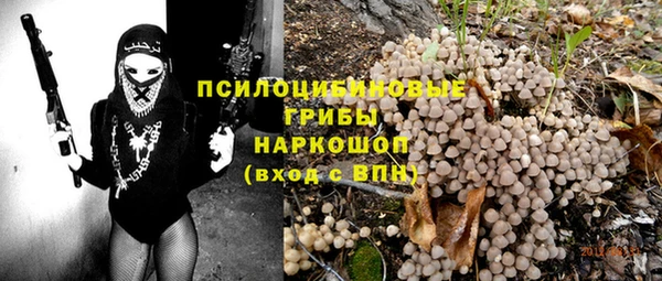 герыч Лагань