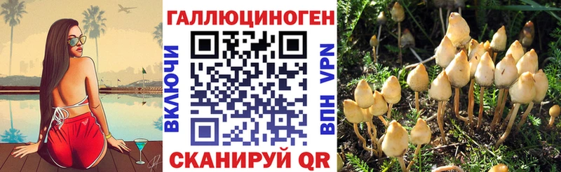 Галлюциногенные грибы мухоморы  где продают   Судак 
